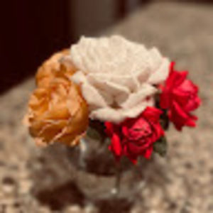 Meet your Posher, Polly